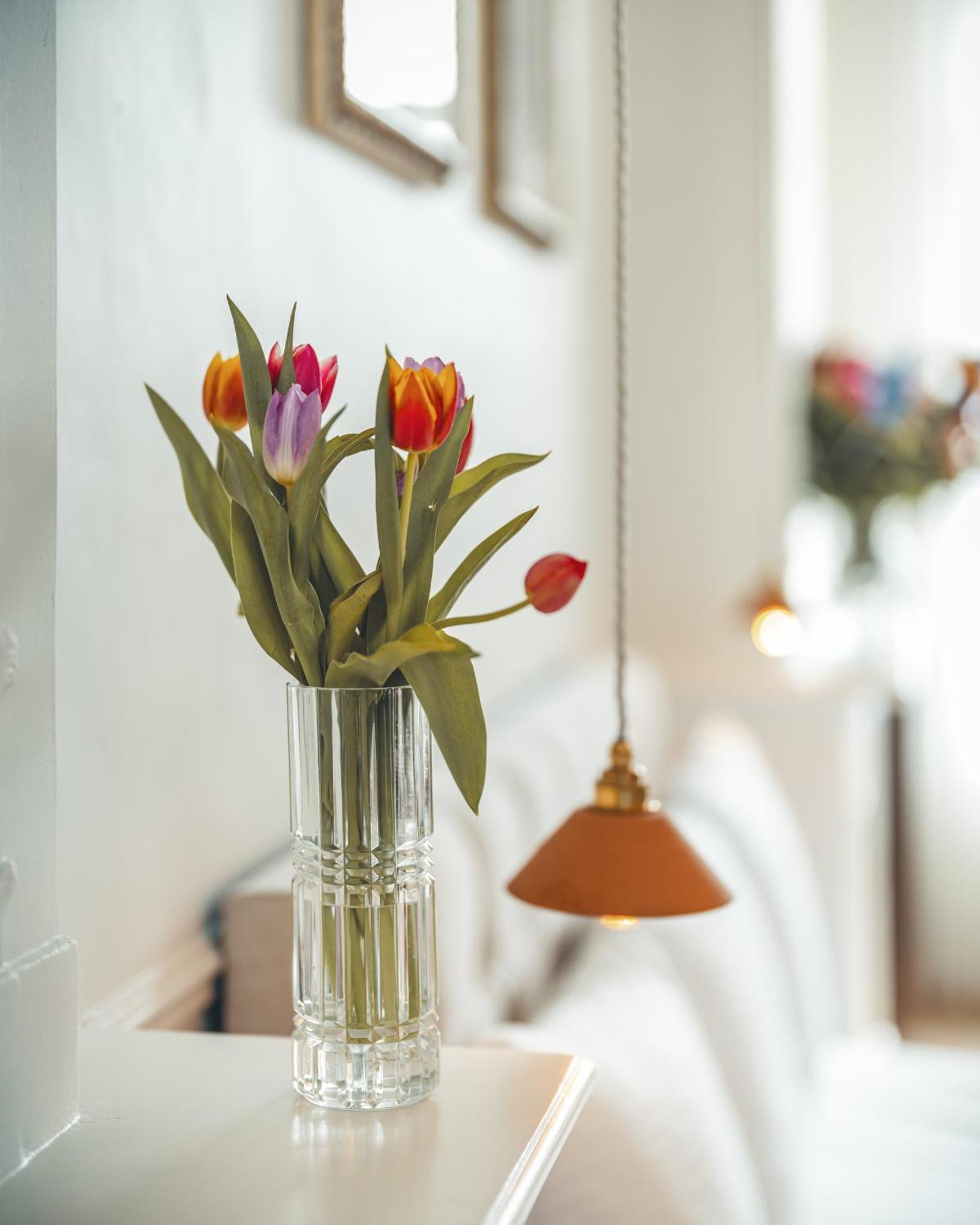 B&B Barabas Brugge Kültér fotó